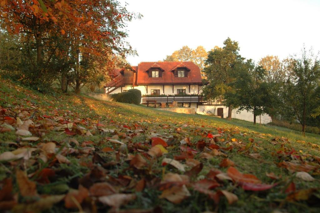 Penzion Dvur Obora Kültér fotó